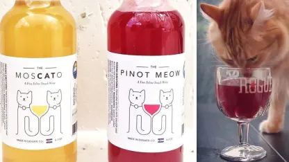 It's been a long stressful day. How do you prefer to unwind?