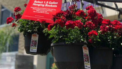 Woot Product Discussions for May 16th 2018