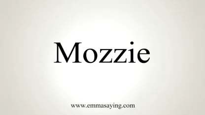 How do you figure you pronounce Mozzie?