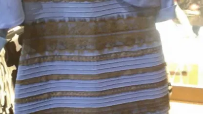 Blue and black or white and gold?