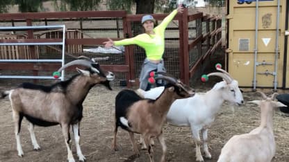 Life as December Goat:  Day 29
