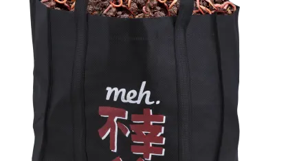 Fukobukuro 19: Fools Rush In