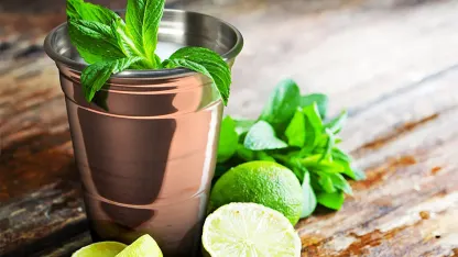 4-Pack: Cambridge 18oz Copper Stainless Steel Reusable Party Cups