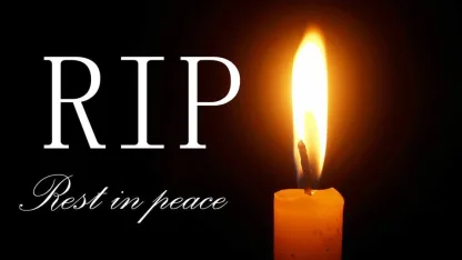 RIP 2024 Q3