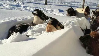 March 8 -- Fuck You, March 8