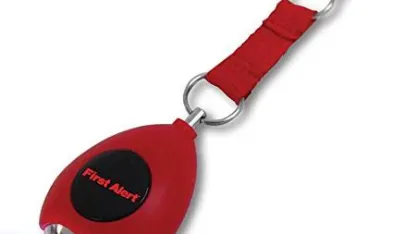 Beyond a flashlight and a panic alarm, what would you most like to see built into a portable battery?