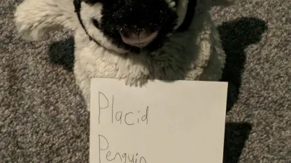 Seeds Scavenger Scramble Day 16