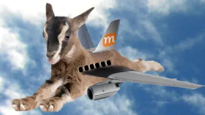 Goatoshop, Feb 7: Goatin' Away for a While