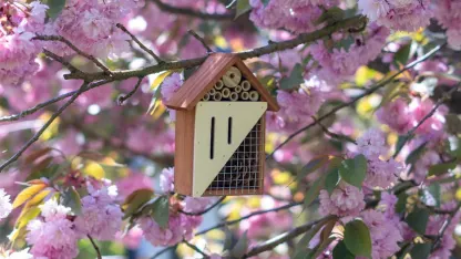 Touch Of Eco Pollination Palace