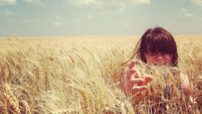 TIL: Humans were domesticated by wheat