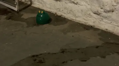 Thanks again Leak Frog!