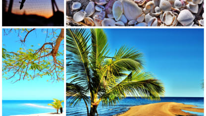 Hey Meh, how about some...other types of sports equipment?