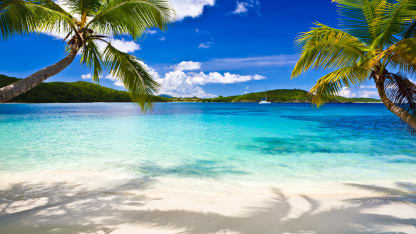 Where Would You Rather Be?