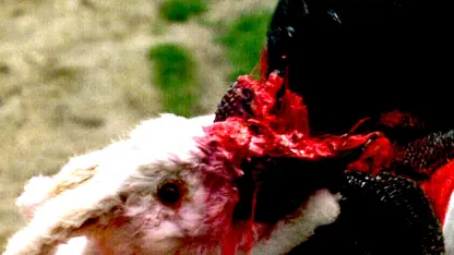 Monty Python and Horror Writers