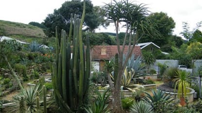 March 24 -- Unexpected Guests...