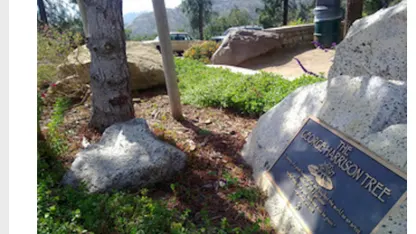 What's your favorite thing to fly?