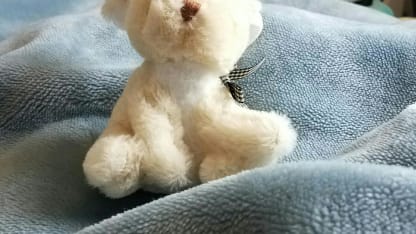 March 5 -- Fun and Games Sunday