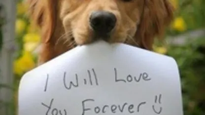 Pets! Pets! Pets! Show me yours........