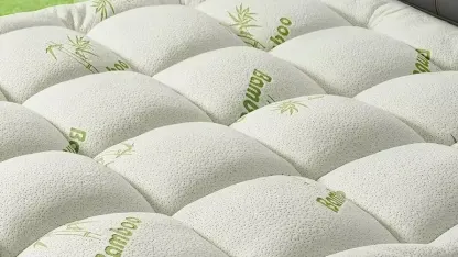 Best kind of back-up bed: