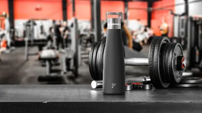 2-Pack: LetsFit 16oz Stainless Steel Insulated Water Bottles