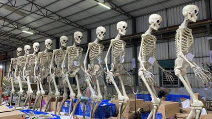 Home Depot 12-foot skeleton
