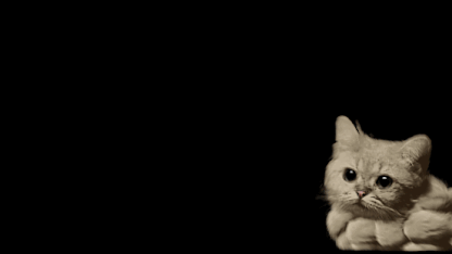 Nothing to say, but...