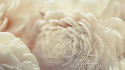 Which of the following is closest to describing your tool collection?