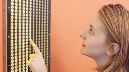 Are you serious? Just like shiny things?