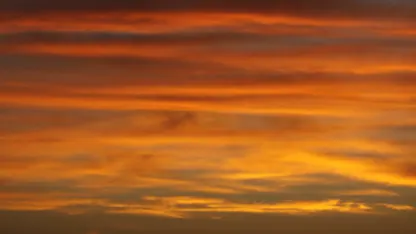 Thanksgoating - Day seven.  Mornin' sunshine