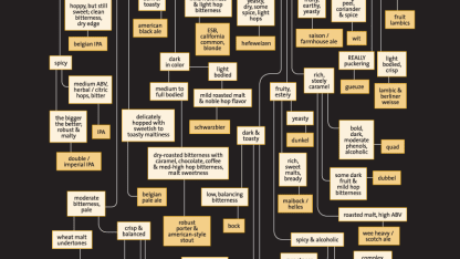 What's your favorite beer style?