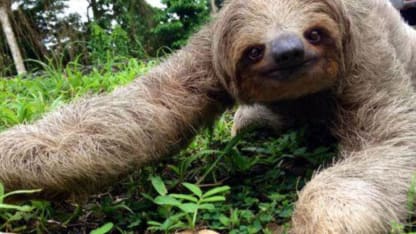 스피커독 흰색은 없나요?(I wanna white JBL dock!)