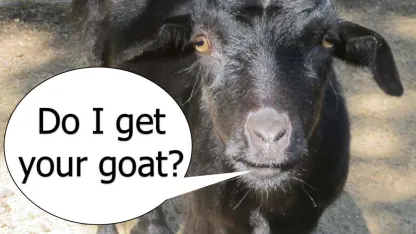 Who is YOUR G.O.A.T.?