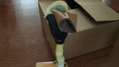 I did not score a fuko, but I have great news!