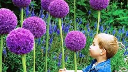 How cool are these??