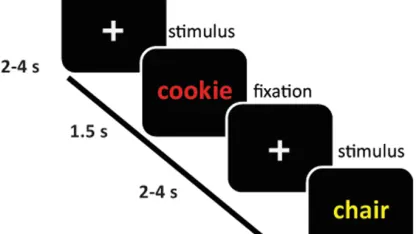 Will the larger stroop size lead you to eat more or less stroop per stroop eating session? (Support your answer in the comments.)