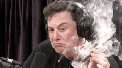 What's Elon up to now?
