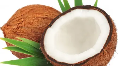 Let me get this straight