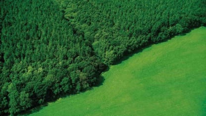 Another give away MONDAY July 3rd 10pm CST from the Magnanimous Nigerian Prince X