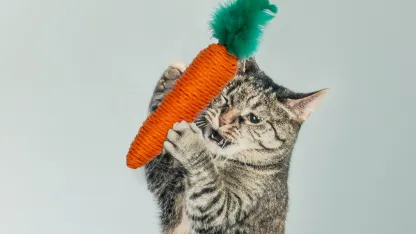 9-Piece ASPCA Cat Toy Bundle