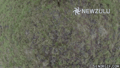 Official Drone Talk Thread: Deals, advice, cameras, flying tips & more