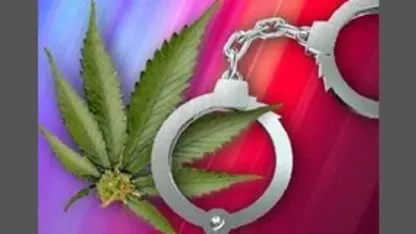 Recreational marijuana should be...