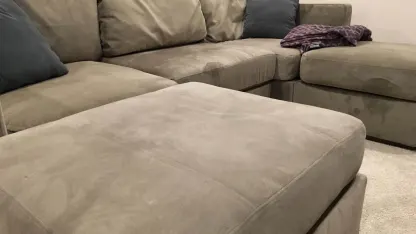 Want my extra Lovesac Side Cover (brown velvet)?