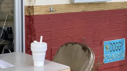 2-Pack: Stojo 16oz Collapsible Travel Cup With Straw