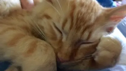 Thing here needs a name. Suggestions?