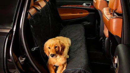 Active Pets Waterproof Rear Car Seat Cover
