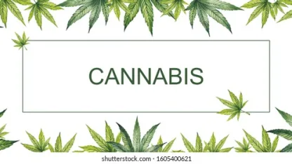 Monty Python and (where legal) Cannabis Chat