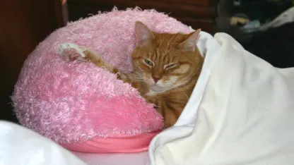 What are you going to do with all the great new pillows you're buying from us?