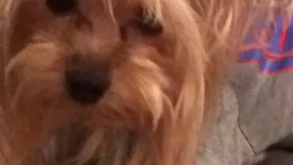 Y have u all not returned an email about my money or product? It has been since2/26! Got cheap shipping but this is NOTthe way to do biz!