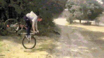 Thinking about buying a bike