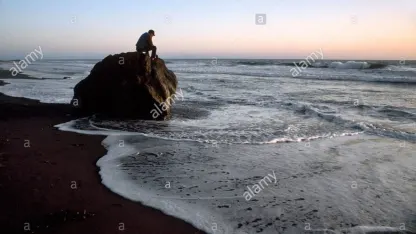 a ponderment for those of use who live alone